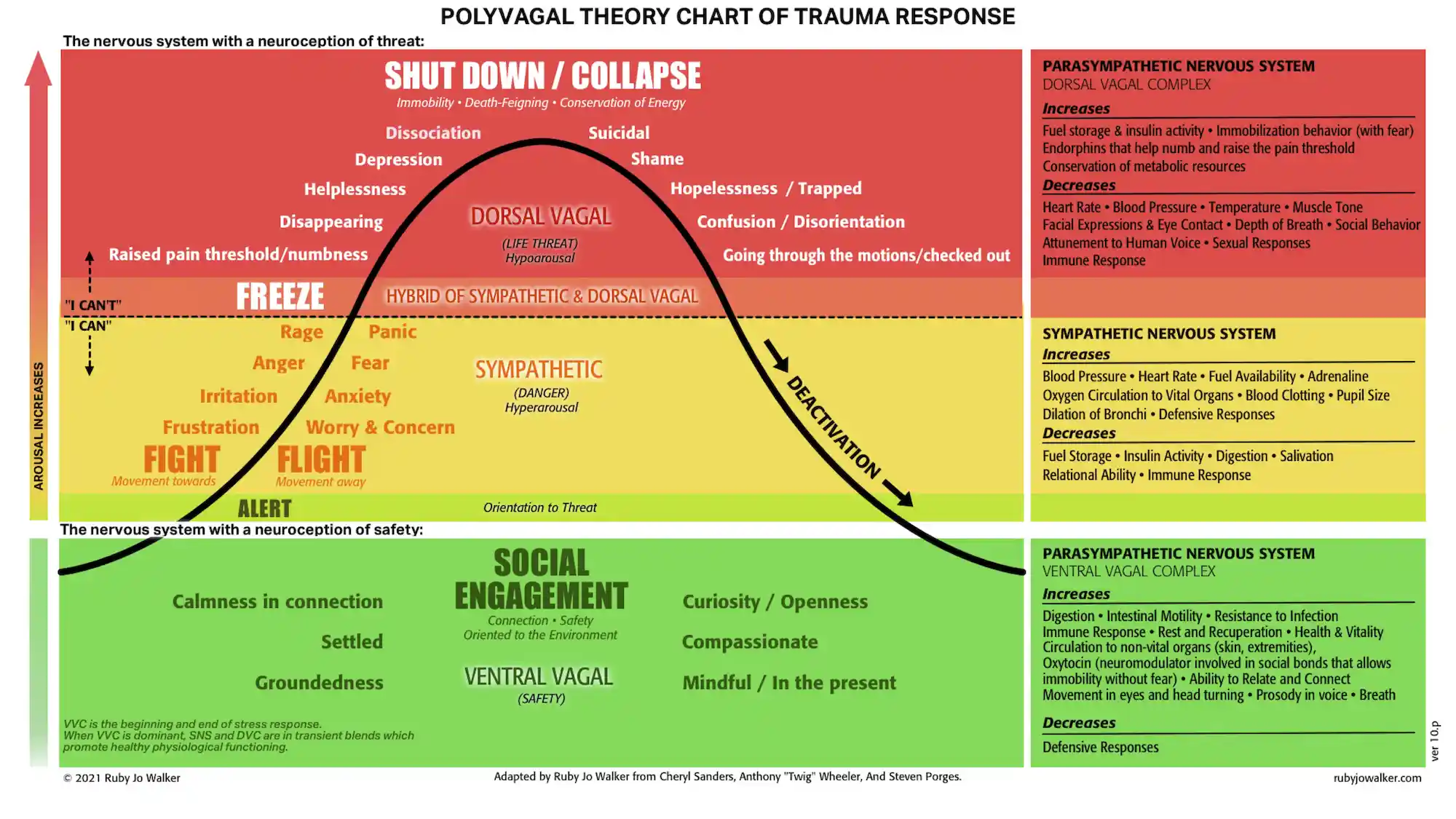 Polyvagal-Theory-Chart W